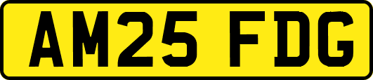 AM25FDG