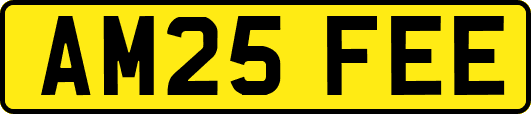 AM25FEE