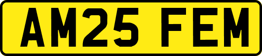 AM25FEM