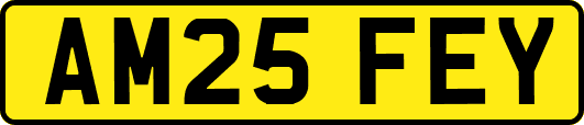 AM25FEY