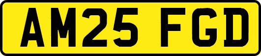 AM25FGD