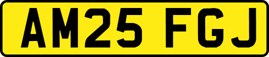 AM25FGJ
