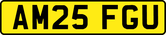 AM25FGU