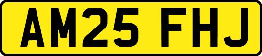 AM25FHJ
