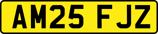 AM25FJZ