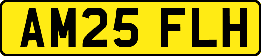 AM25FLH