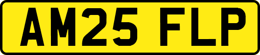 AM25FLP