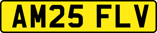 AM25FLV