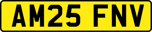 AM25FNV