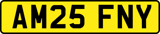 AM25FNY