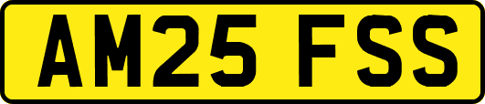 AM25FSS