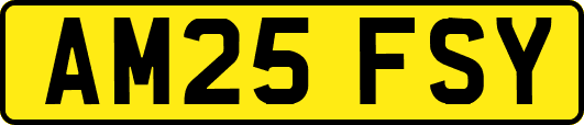 AM25FSY