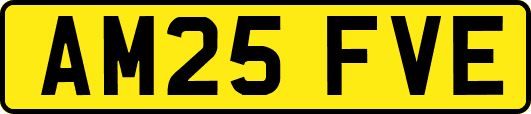AM25FVE