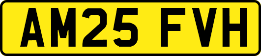AM25FVH