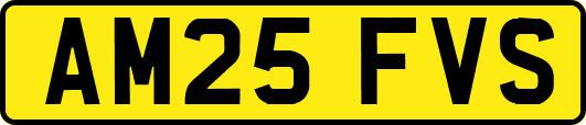 AM25FVS