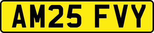 AM25FVY