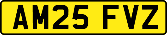 AM25FVZ