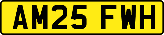 AM25FWH