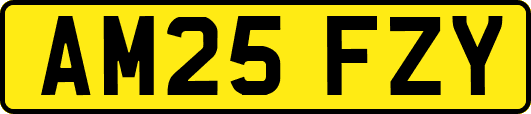 AM25FZY