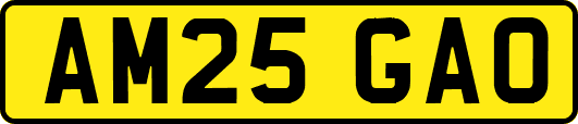 AM25GAO
