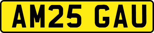 AM25GAU