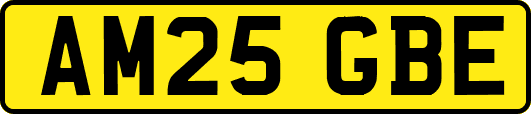 AM25GBE