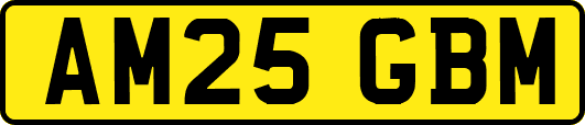 AM25GBM