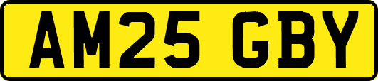 AM25GBY