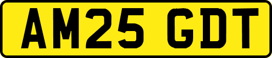 AM25GDT