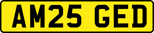 AM25GED