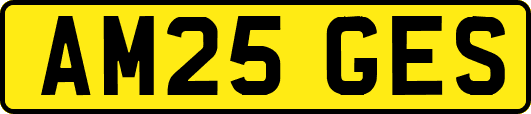 AM25GES