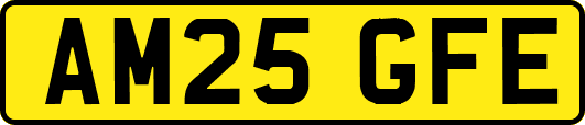 AM25GFE