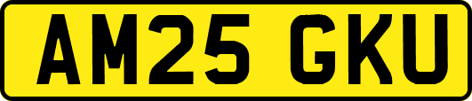 AM25GKU