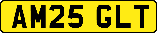 AM25GLT