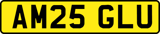 AM25GLU