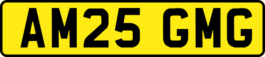 AM25GMG