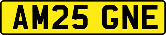 AM25GNE