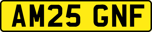 AM25GNF