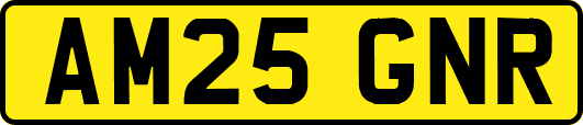 AM25GNR