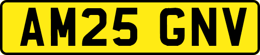 AM25GNV