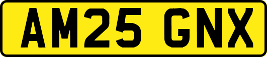 AM25GNX