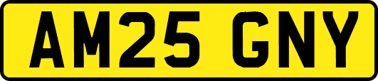 AM25GNY