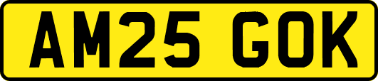 AM25GOK