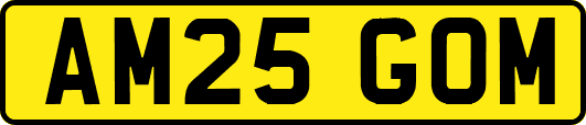 AM25GOM