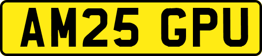 AM25GPU