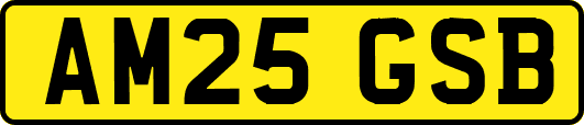 AM25GSB