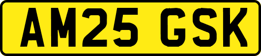 AM25GSK