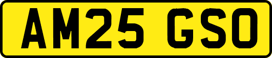 AM25GSO