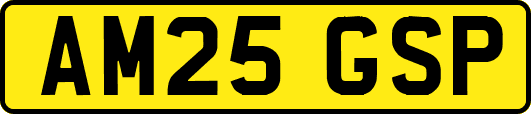 AM25GSP