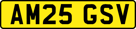 AM25GSV